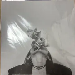 Arche-sublimated レコード LP - メルカリ