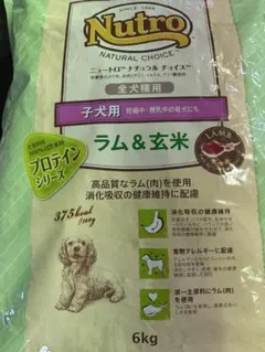 ニュートロ ナチュラル チョイス 中～大型成犬用 ラム＆玄米14㎏お