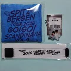 スピッツ Spitz ゴースカ9 祝祭刺繍ポーチ 新品未開封 ミニポーチ