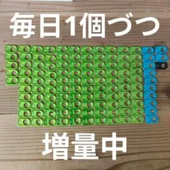 毎日1個づつ増量中モンスターエナジー プルタブ 緑105個 青12個 黒1個