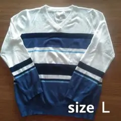 Vネック★レーヨン サラッとセーター