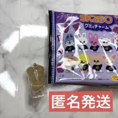 スキズ StrayKids SKZOO グミ&チャーム puppy M スンミン