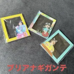 ブリアナギガンテ ブリちゃん アクリルフォトフレーム風3種セット 一緒に撮影可能のサムネイル