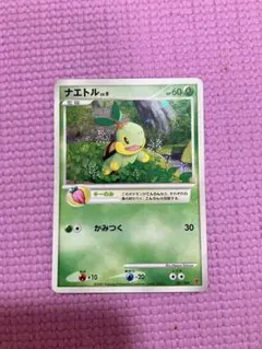 プロモーションパック ポケモンカードプレイヤーズ第5期 けいけんち