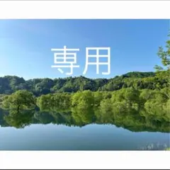しょうまる。。様　専用