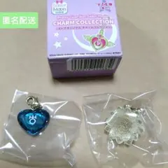 セーラームーン　ストアオリジナルチャームコレクション