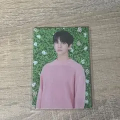 SEVENTEEN トレカ ジョシュア