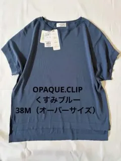 OPAQUE.CLIP タグ付き未着用　38Mカットソーのサムネイル