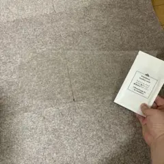 Item thumbnail for item c7874fb6-17c4-411e-b6a6-6af034198eb0