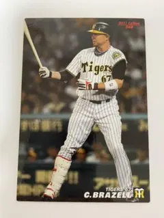 2025年最新】ブラゼルの人気アイテム - メルカリ