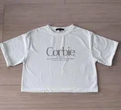 AQUAHISTORY 刺繍ロゴ クロップドTシャツ M ホワイト 白