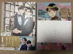 「30歳まで童貞だと魔法使いになれるらしい(10)特装版 小冊子付き」