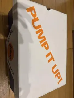 Reebok Instapump Fury OG サイズ8