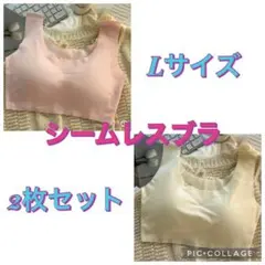 大人気‼️シームレスブラ 2色 2枚セット ナイトブラ ノンワイヤー Lサイズ