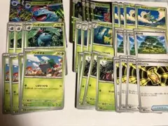 早い者勝ち　メガフシギバナex メガニウム　進化ライン