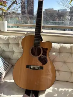 2026年最新】Martin OMCPA4 マーチン エレアコの人気アイテム - メルカリ