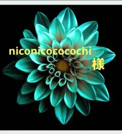 専用　niconicococochi　様
