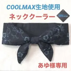 Item thumbnail for item ce85d42f-f3a6-4b0b-a397-4138825ff439