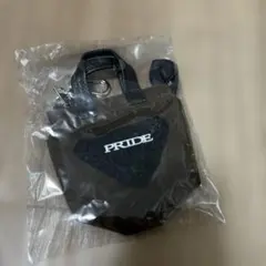 PRIDE ミニチャームバッグ　新品未使用