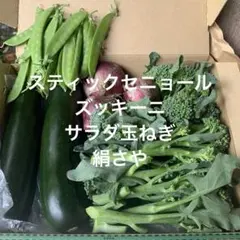 宮城県産　新鮮野菜詰め合わせ　宅急便コンパクトのサムネイル