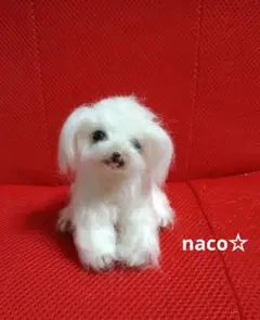 マルチーズ 犬 羊毛フェルトぬいぐるみ　ハンドメイド　微調整可能　メルカリ