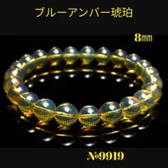 2026年最新】化石コレクターの人気アイテム - メルカリ