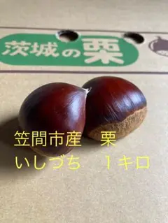 利平栗 果物