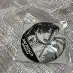 WIND BREAKER ウィンブレ展 ランダム コマ缶バッジ 水木 - メルカリ