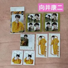 SnowMan 向井康二 TVガイド テレビジョン　TVfan