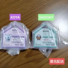 BT21パッケージチャーム　2点セット