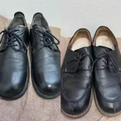 Item thumbnail for item 70f7af21-b178-4e4e-85f8-ddf64caf3365