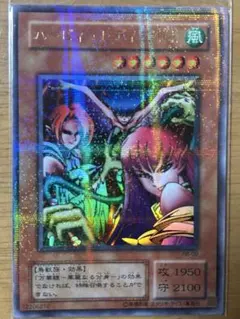 遊戯王　ハーピィ　レディ三姉妹　ブラックマジシャン　2期　シークレット　カード