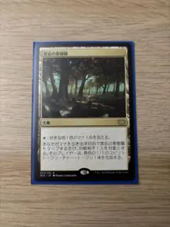 Item thumbnail for item a220997a-e41f-4b8d-be39-3a9429697cc0