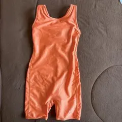 Item thumbnail for item 57e94fa6-ece2-4d72-9043-480d2f4369f1