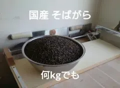 国産 そば殻 何kgでも 未加工 園芸 工作 枕補充用のサムネイル