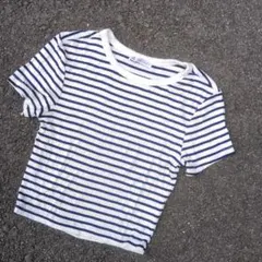 BK16 ZARA ザラ Tシャツ Sサイズ
