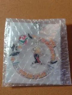 ハイキュー!! 月島蛍 ぶらりんアクリルキーホルダーコレクション