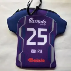 Item thumbnail for item 647ab58d-d437-4478-8686-698dbbc7b6b4