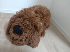 Item thumbnail for item 11085c94-0d36-4edb-87c2-1687e82703f6