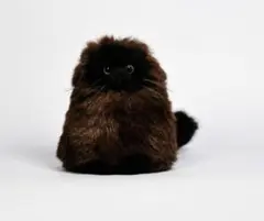 Item thumbnail for item 58528682-75d0-4a5c-8763-efb9c39ad1ce