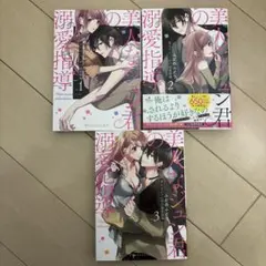 美人なジュン君の溺愛指導 3