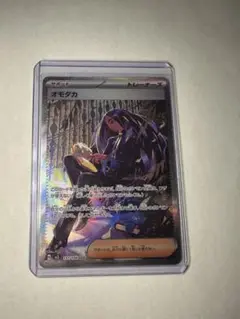 オモダカ SAR PSA8