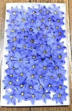 Haru工房❁⃘*.゜プロフ必読⚠️様 リクエスト 2点 まとめ商品