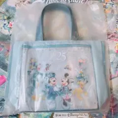 ディズニー　スーベニアランチケース