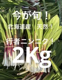 新鮮なにんにく 大量生にんにく　葉にんにく　新ニンニク　大蒜5kg 新鮮なにんにく 大量生にんにく 葉にんにく 新ニンニク 大蒜5kg - メルカリ