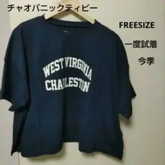 チャオパニックティピーUSAコットン切替Tシャツ ネイビー　週末セール
