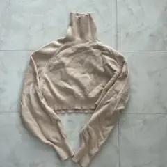 DAZYベージュ ハイネック クロップドニット