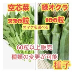 ⭐️深海⭐️プロフィールお読みください様 リクエスト 4点 まとめ商品