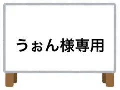 うぉん様 リクエスト 3点 まとめ商品