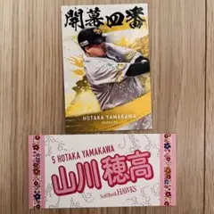 山川穂高選手　ソフトバンクホークス2枚セット